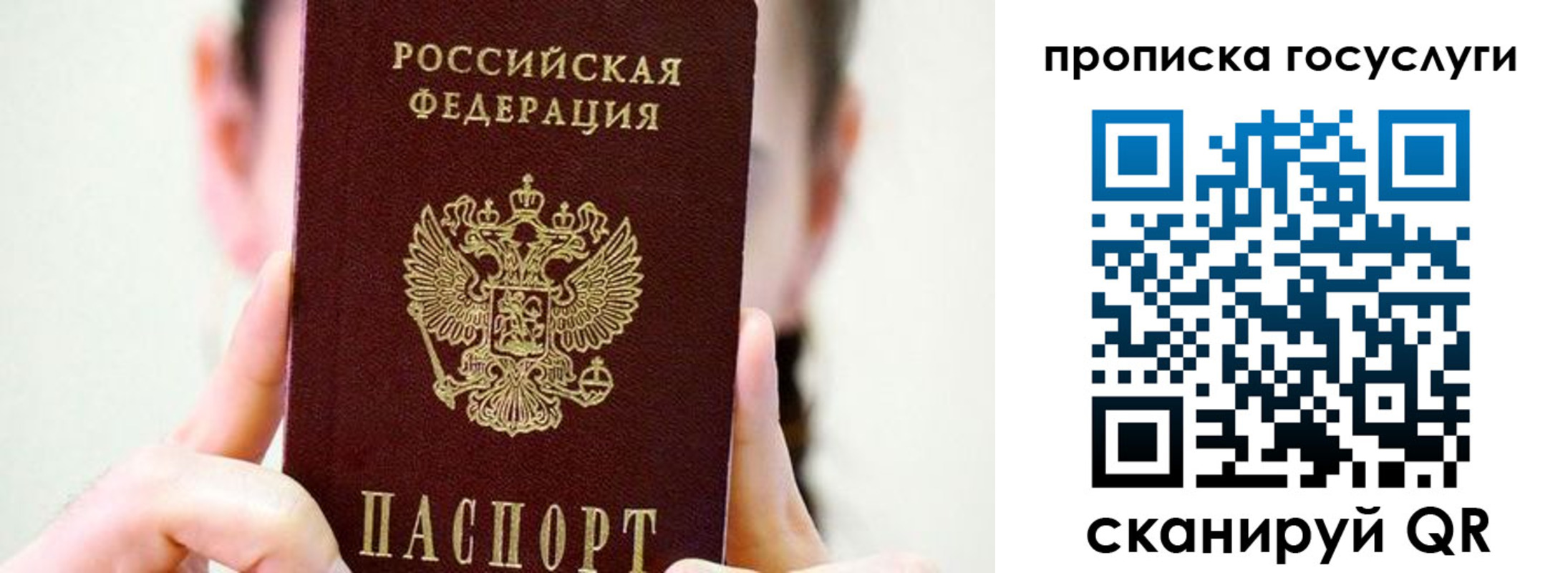 прописка поиск в Красногорске